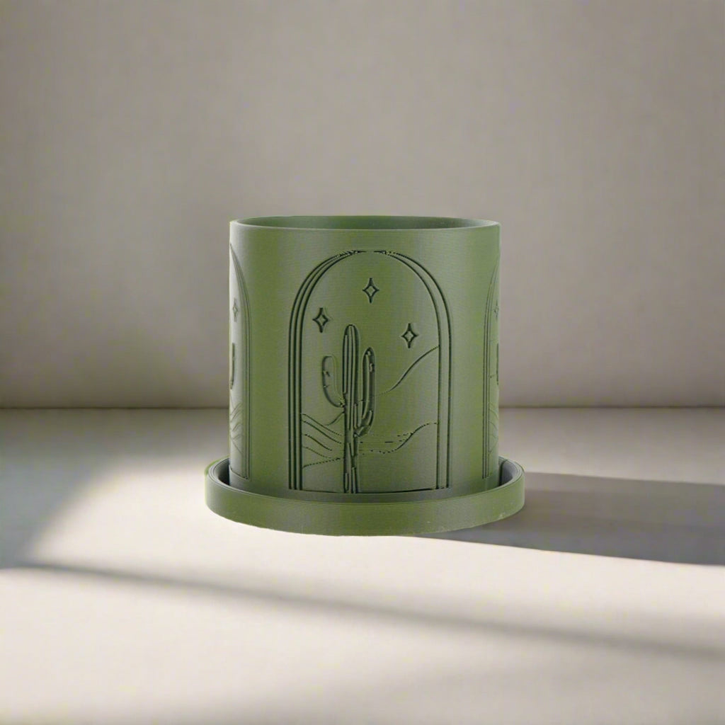 Cactus Planter
