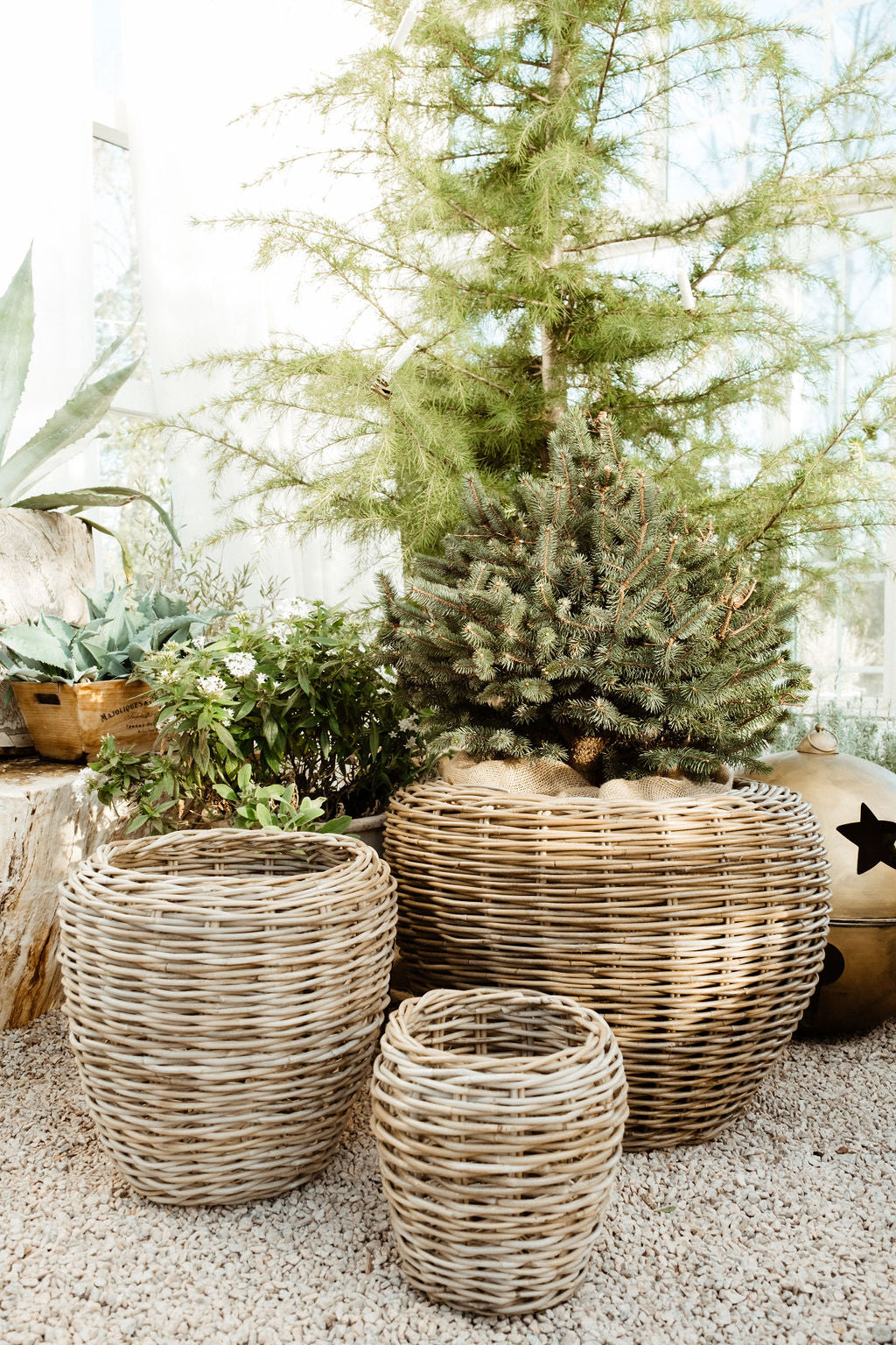 Rattan Garden Planter Baskets