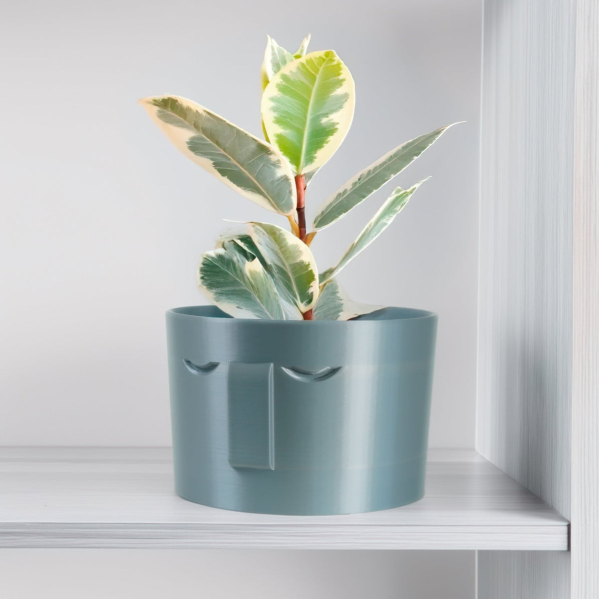 Minimal Face Planter, Small Medium Large, With Drip Tray and Great Drainage