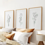 Print - unframed