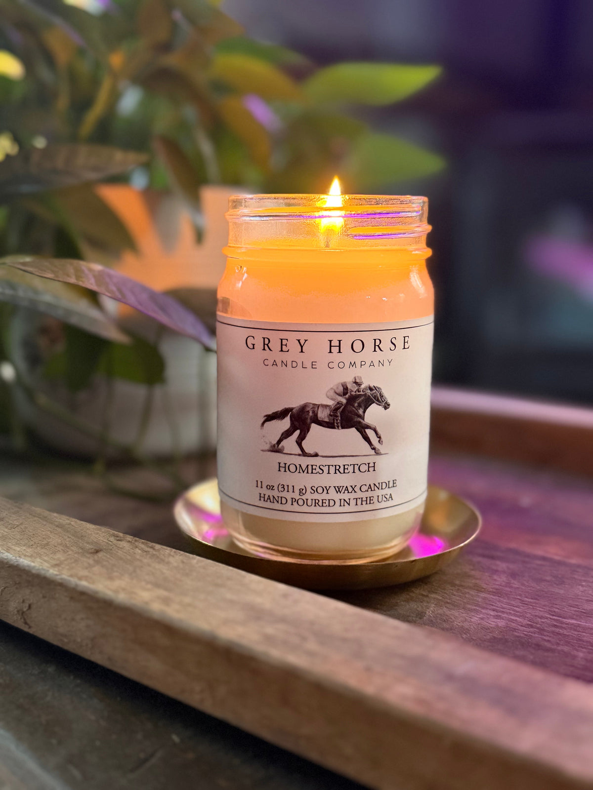 Homestretch Scented Jar Candle - Trot It Forward Collection