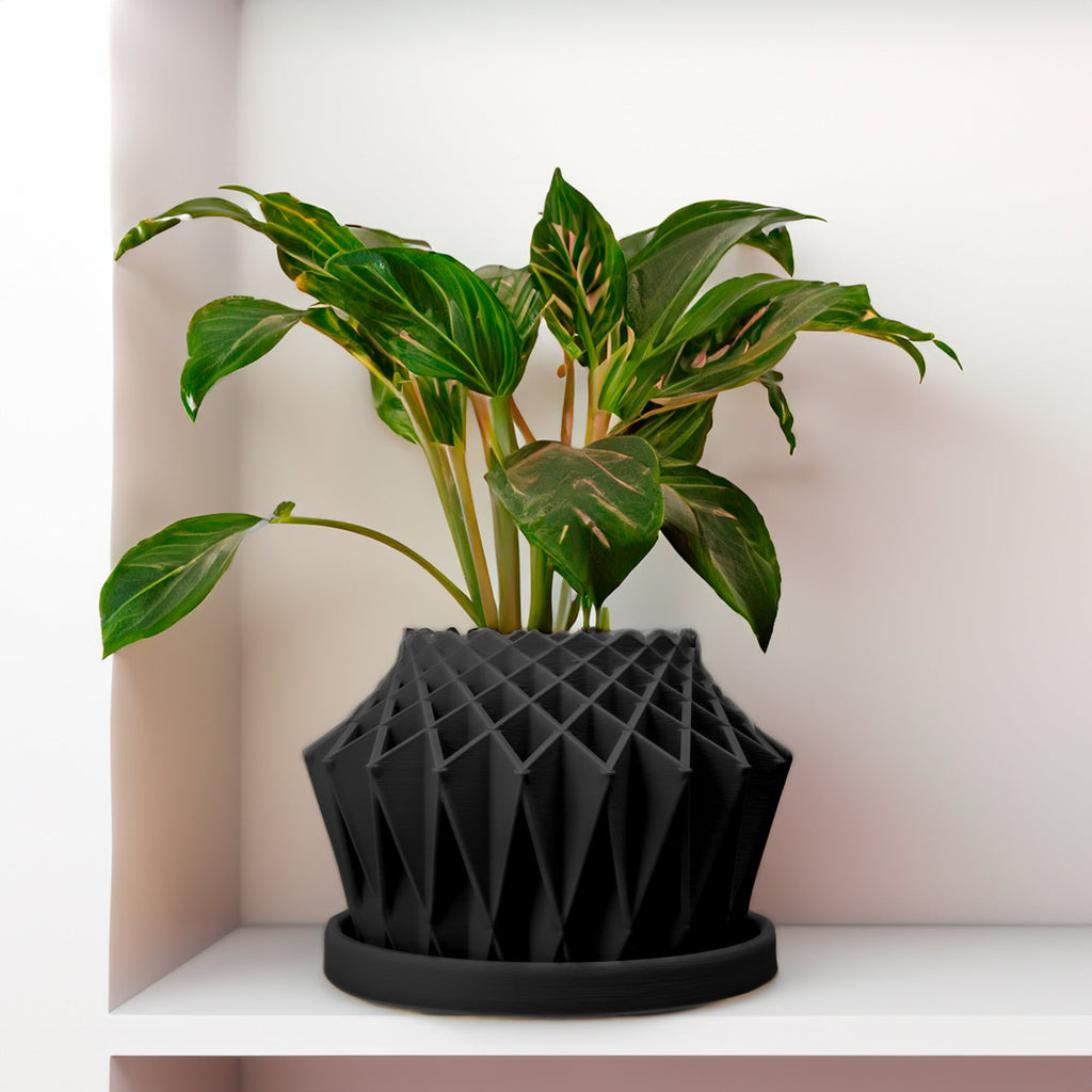 Galaxy Groove Plant Pot