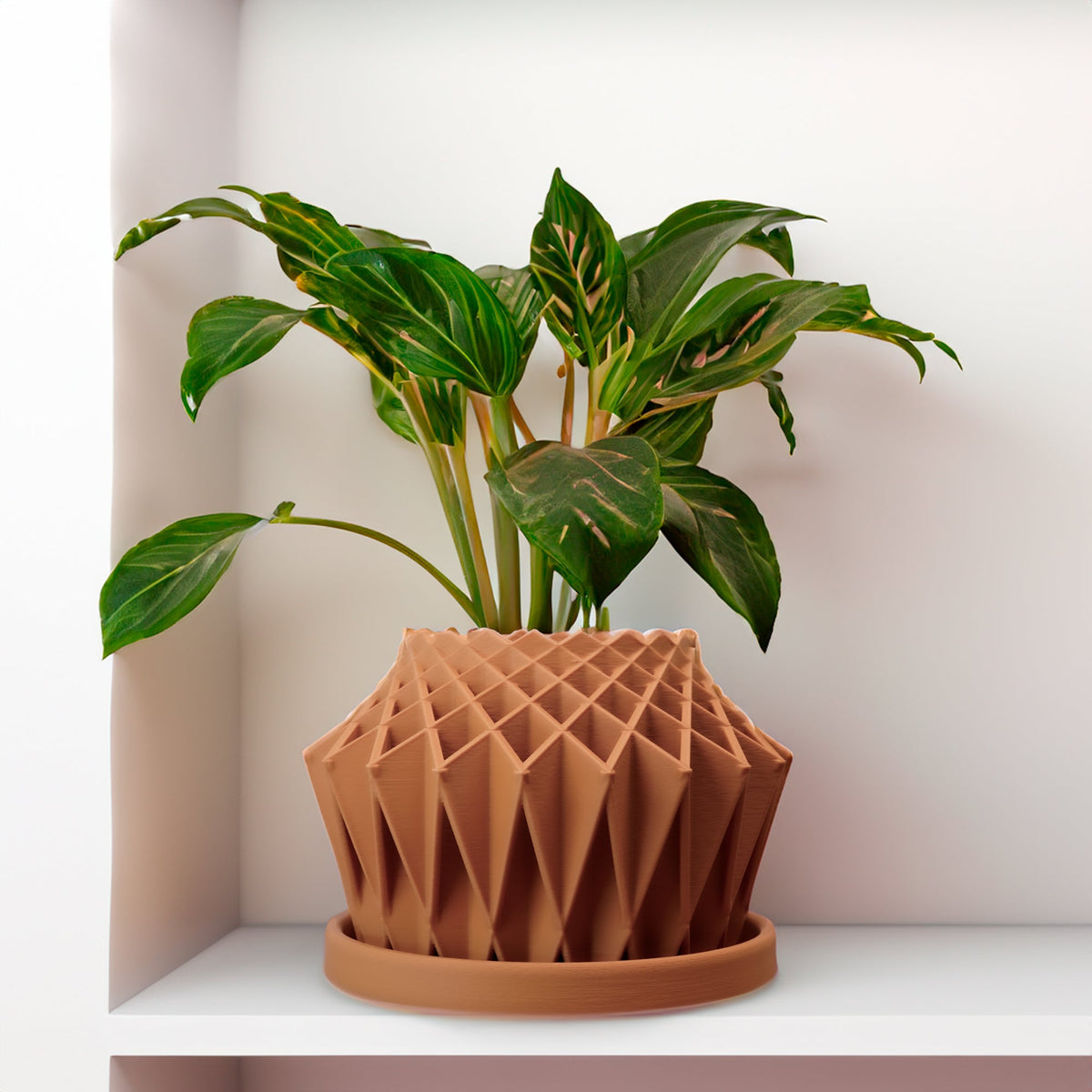 Galaxy Groove Plant Pot