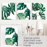 Wrapped Canvas