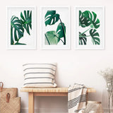 White Frame - w/ mat