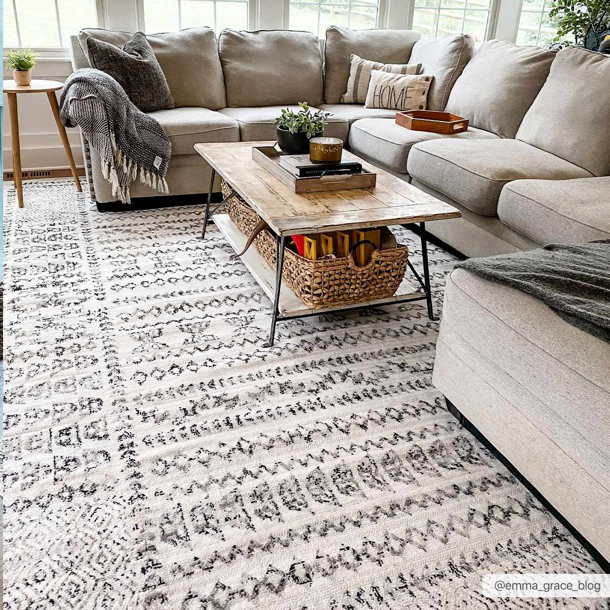 Greig Bohemian Area Rug