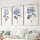 Print - unframed