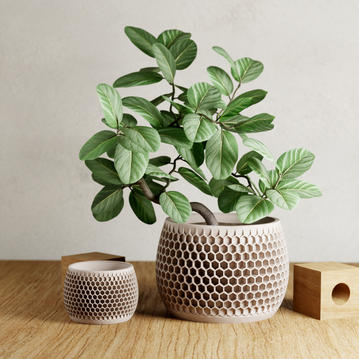 Honeycomb Geometric Planter