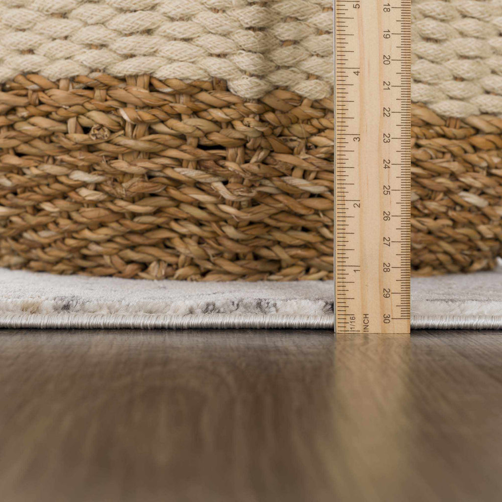 Georgiana Traditional Area Rug