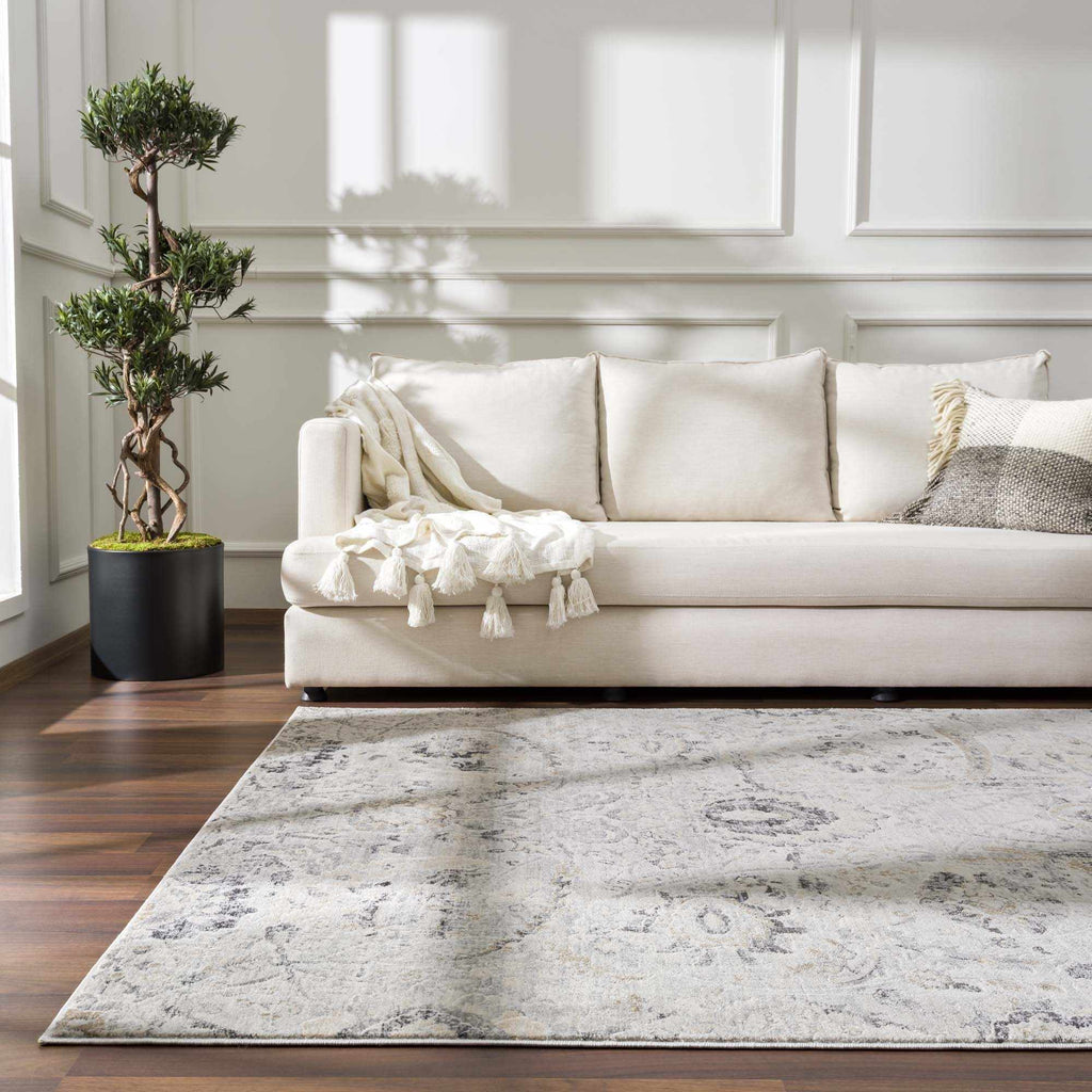 Georgiana Traditional Area Rug