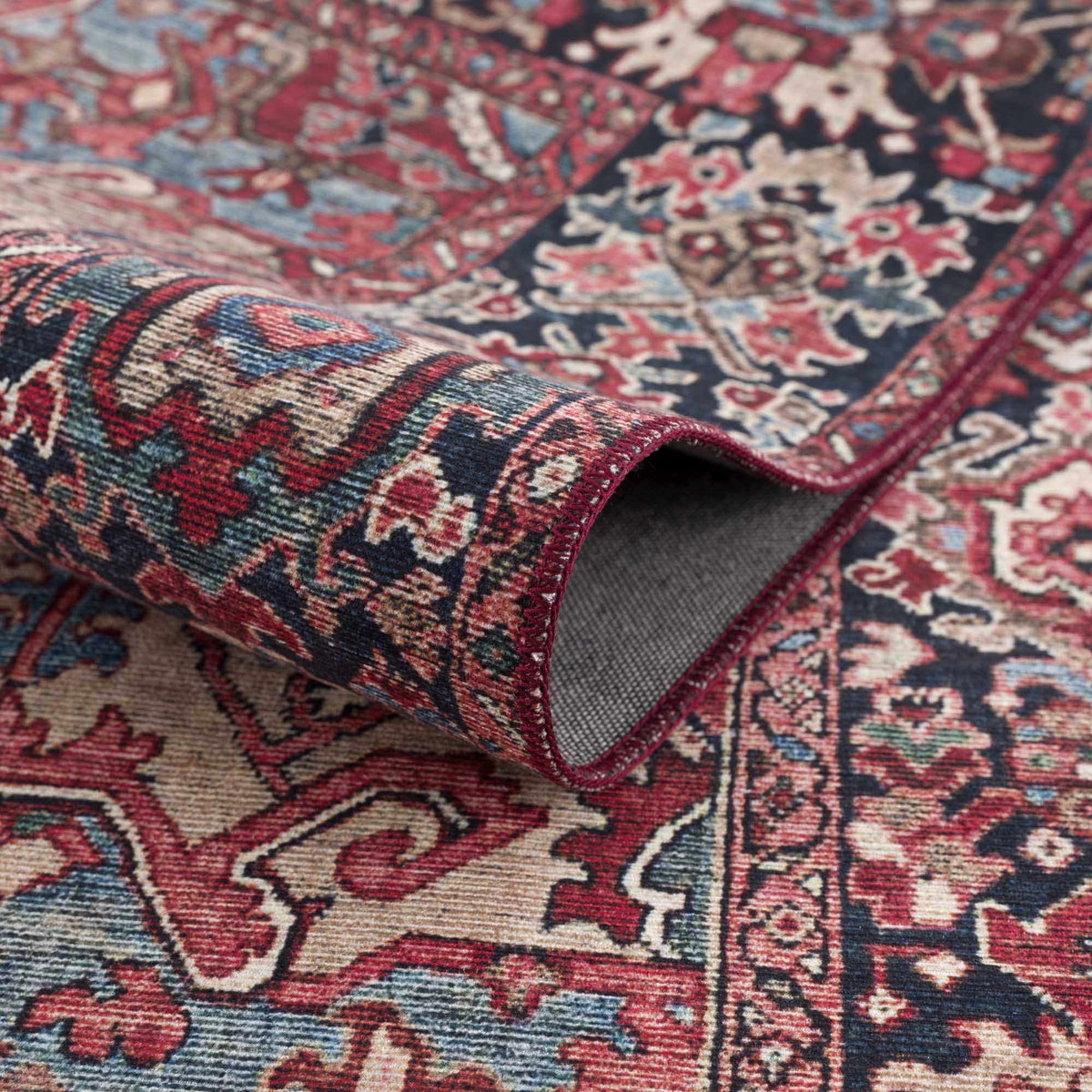 Neyland Traditional Area Rug