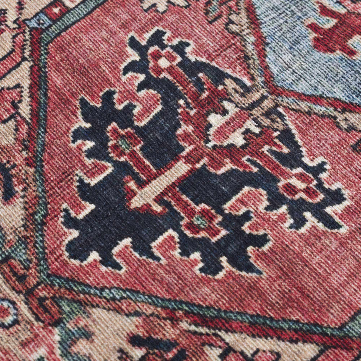 Neyland Traditional Area Rug