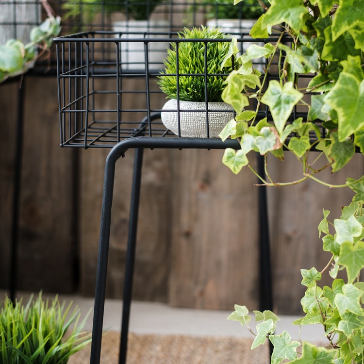 Modern Black Metal Plant Stand