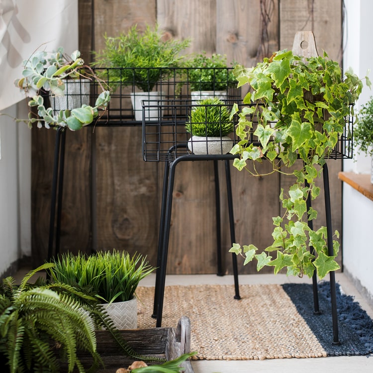 Modern Black Metal Plant Stand