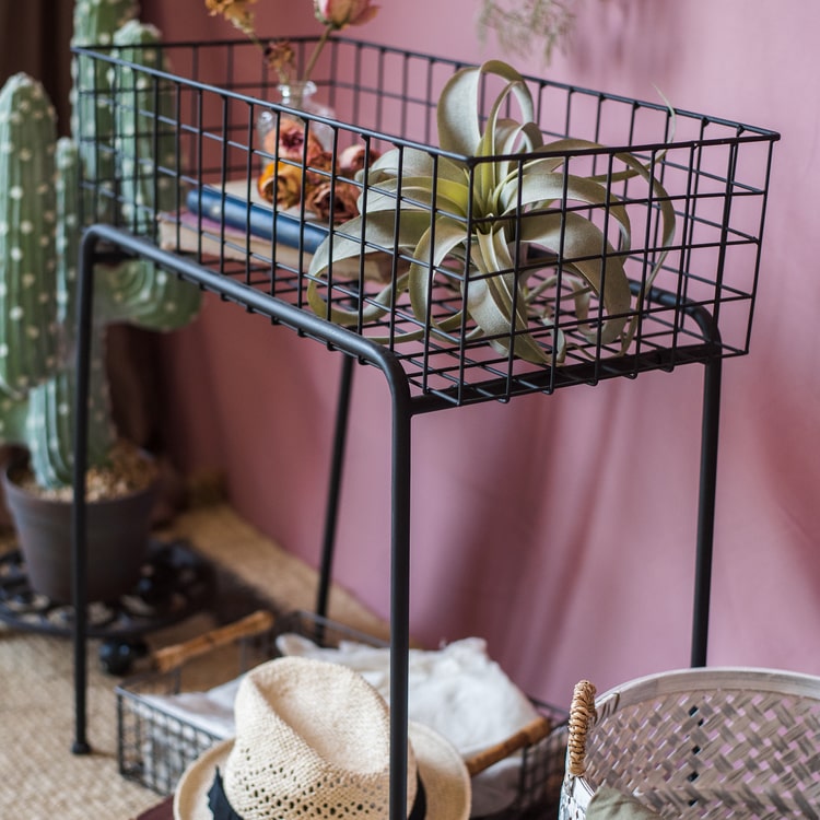 Modern Black Metal Plant Stand