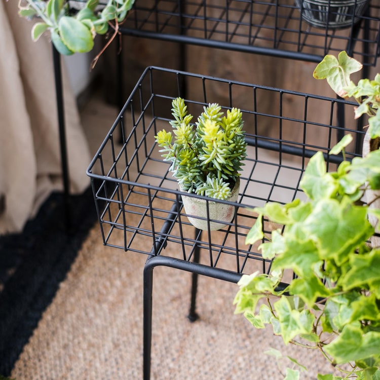 Modern Black Metal Plant Stand