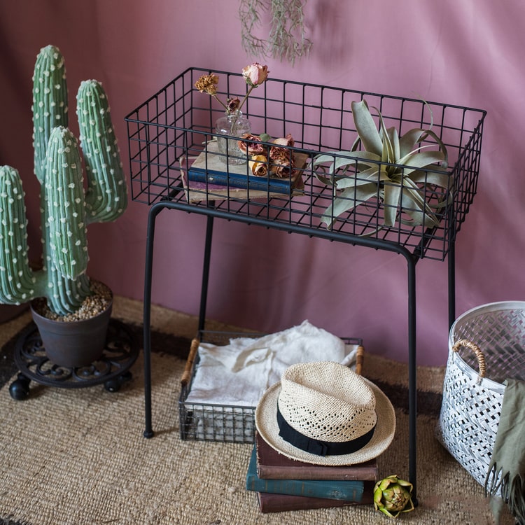 Modern Black Metal Plant Stand