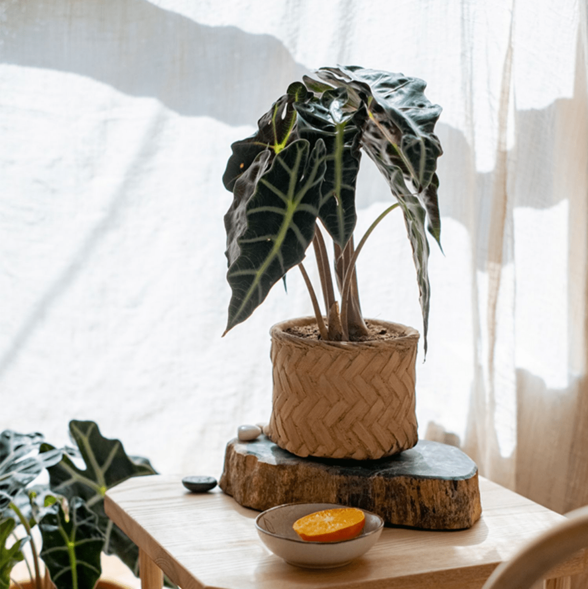 Bamboo-Look Cement Planter