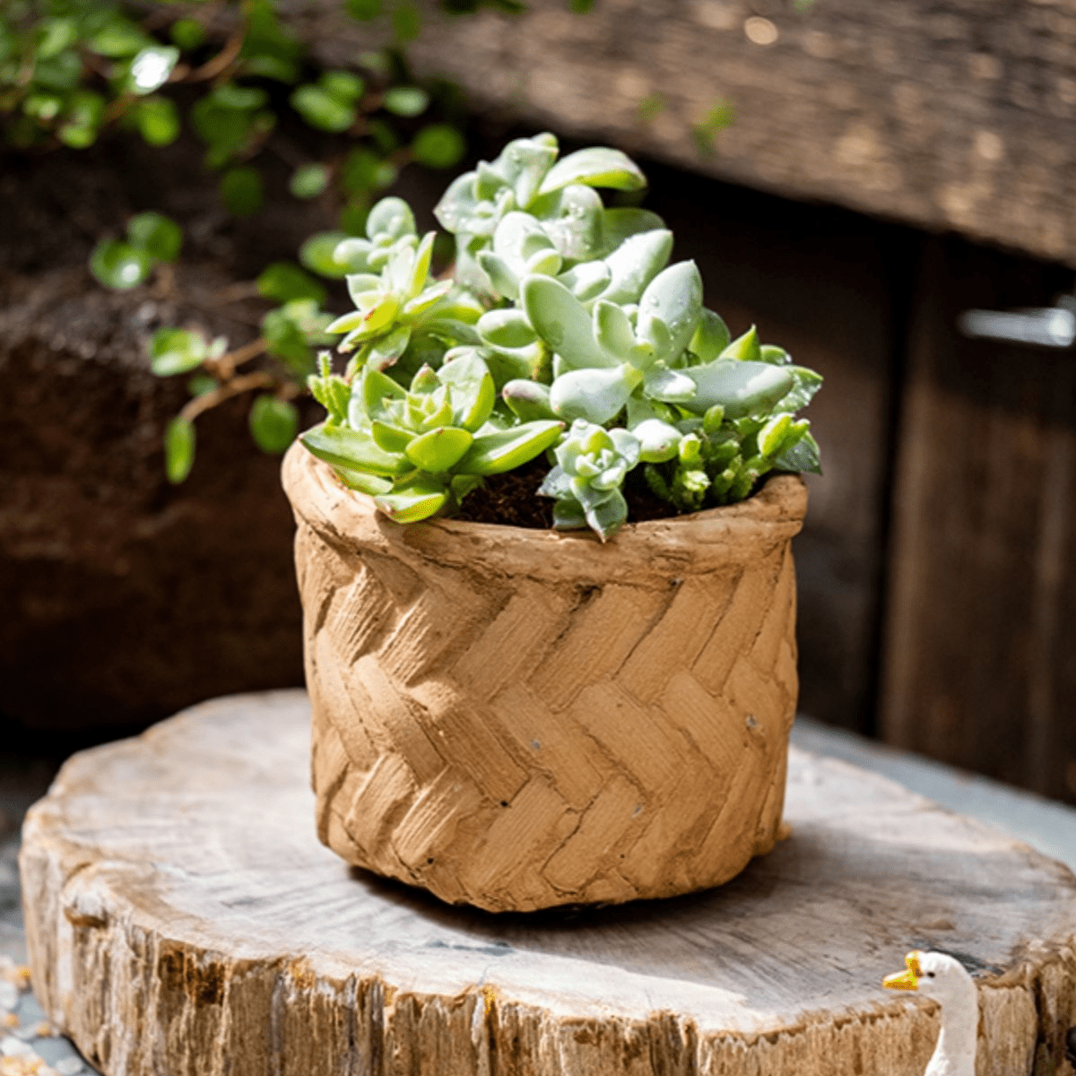 Bamboo-Look Cement Planter