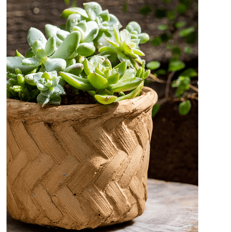Bamboo-Look Cement Planter