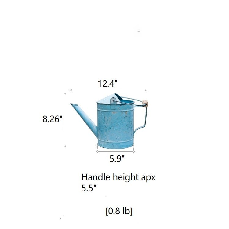 Rustic Blue Metal Watering Can
