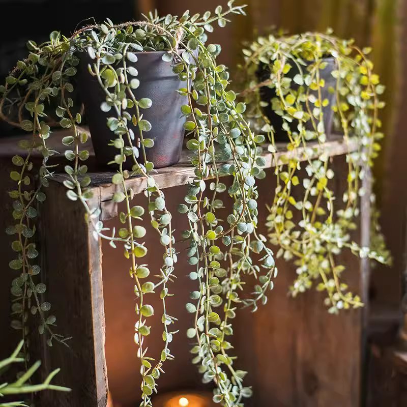 Artificial Hanging Ceropegia Vine in Pot
