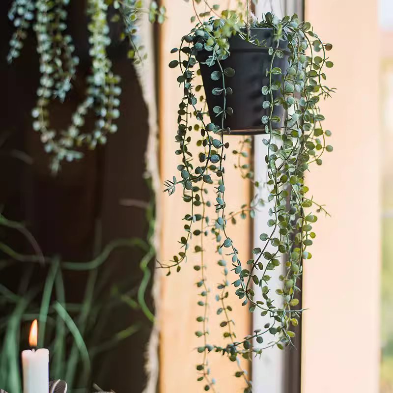 Artificial Hanging Ceropegia Vine in Pot