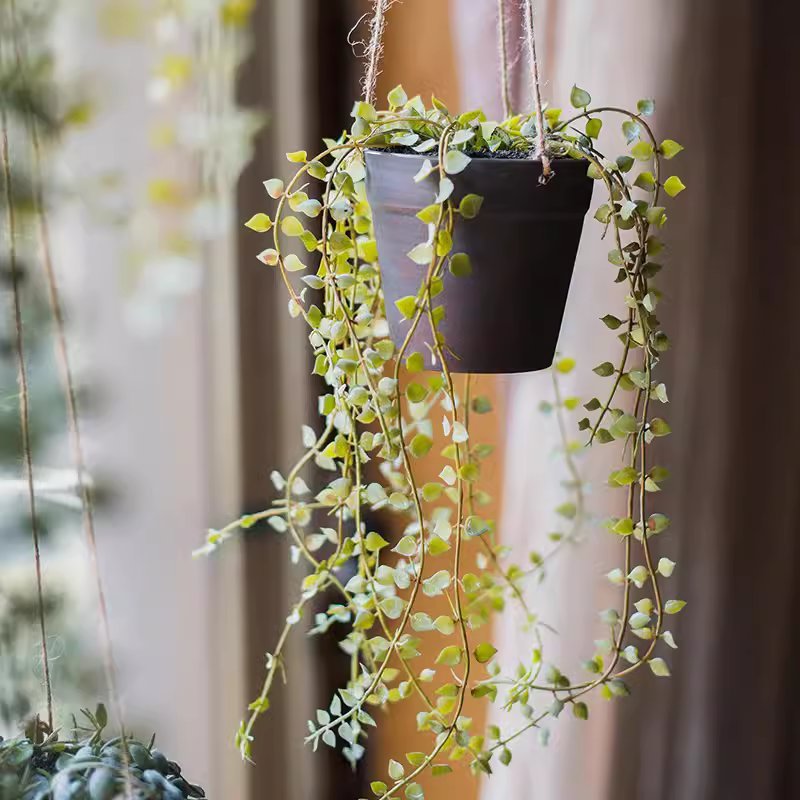 Artificial Hanging Ceropegia Vine in Pot