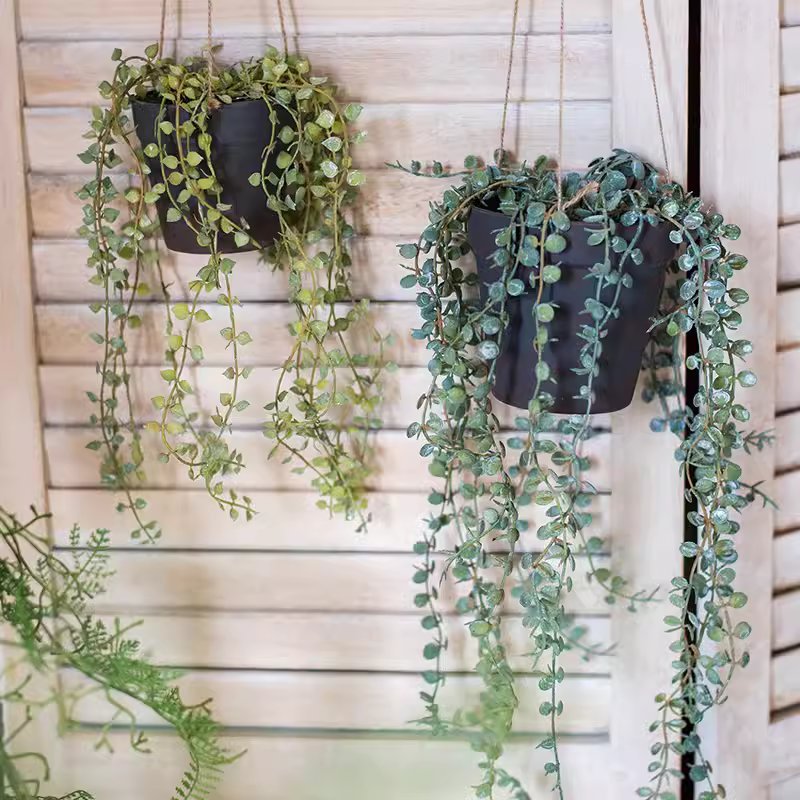 Artificial Hanging Ceropegia Vine in Pot