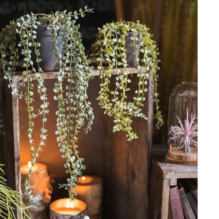 Artificial Hanging Ceropegia Vine in Pot