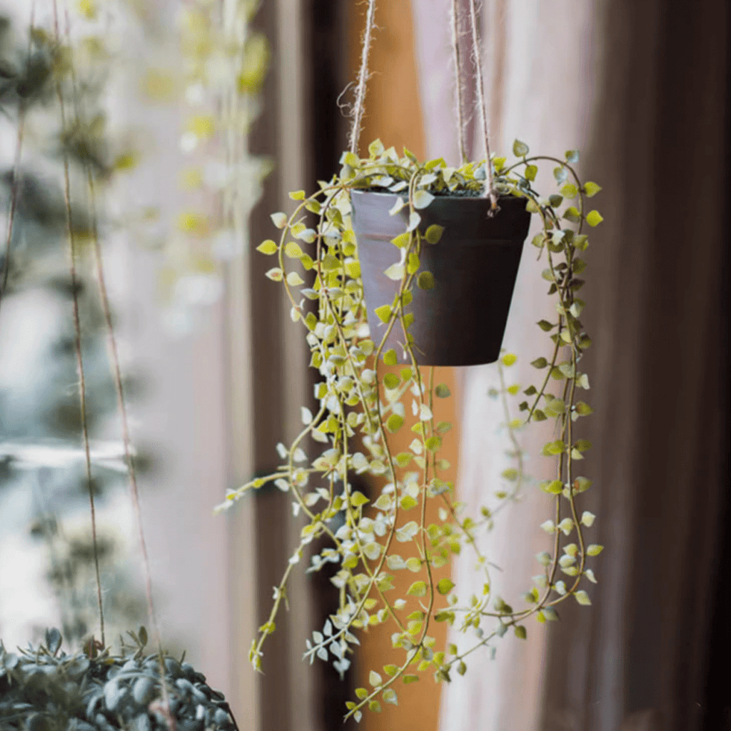 Artificial Hanging Ceropegia Vine in Pot