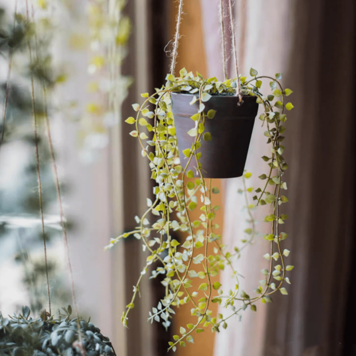 Artificial Hanging Ceropegia Vine in Pot