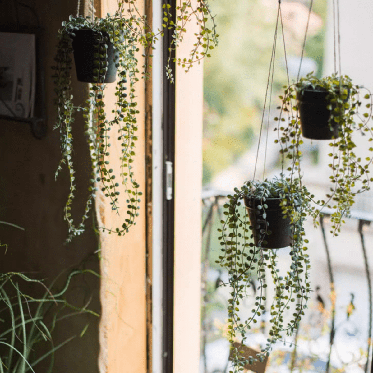 Artificial Hanging Ceropegia Vine in Pot