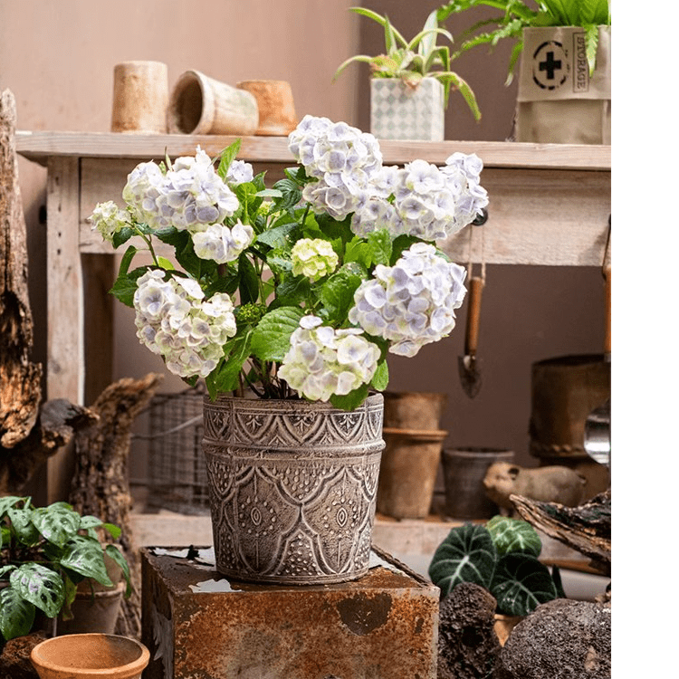 Classic Element Art Terracotta Planter