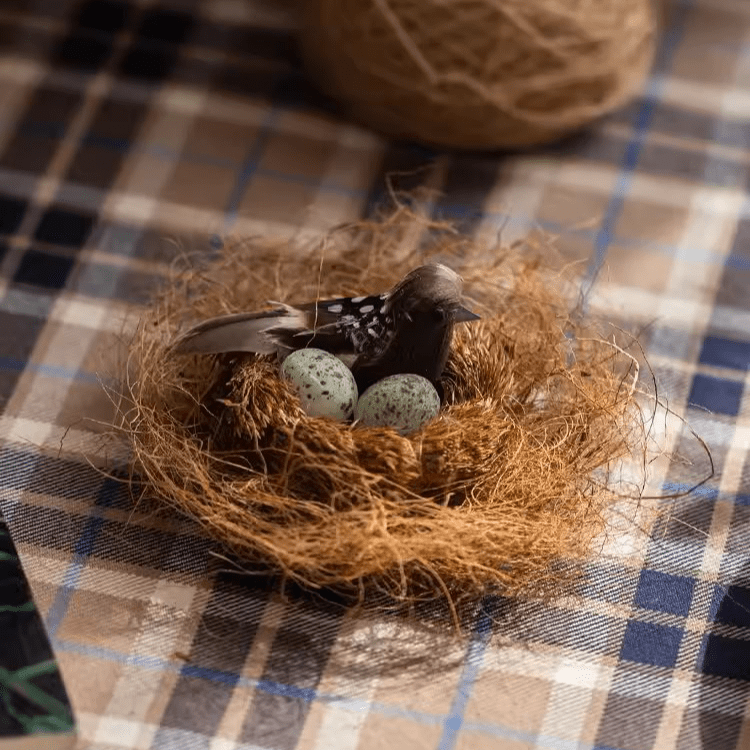 Coconut Fiber Soil Cover, Set of 3 Bags