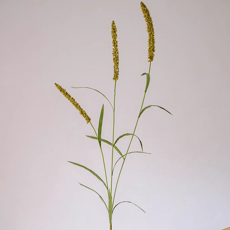 Artificial Three-Headed Dogtail Grass Stem 39" Tall
