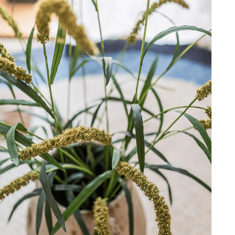 Artificial Three-Headed Dogtail Grass Stem 39" Tall