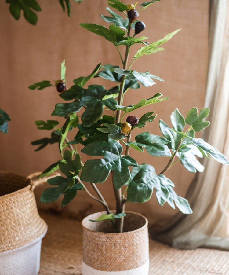 Artificial Silk Potted Fig Tree