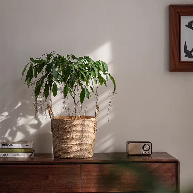 French Country Seagrass Planter Basket with Liner