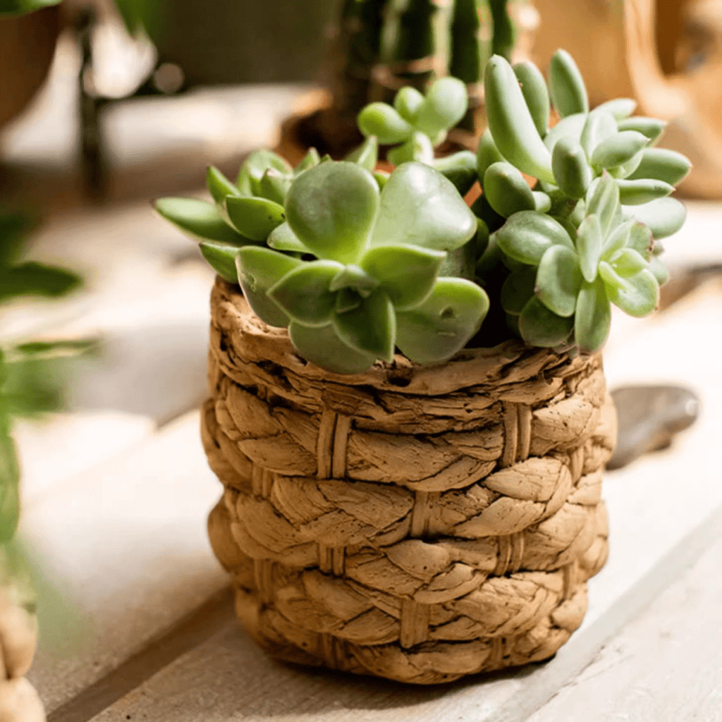 Grass-Weave-Look Cement Planter