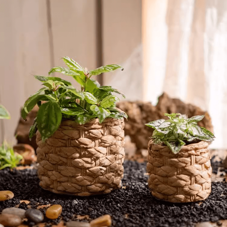 Grass-Weave-Look Cement Planter