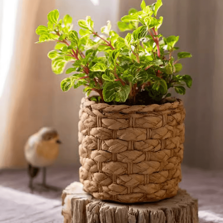Grass-Weave-Look Cement Planter
