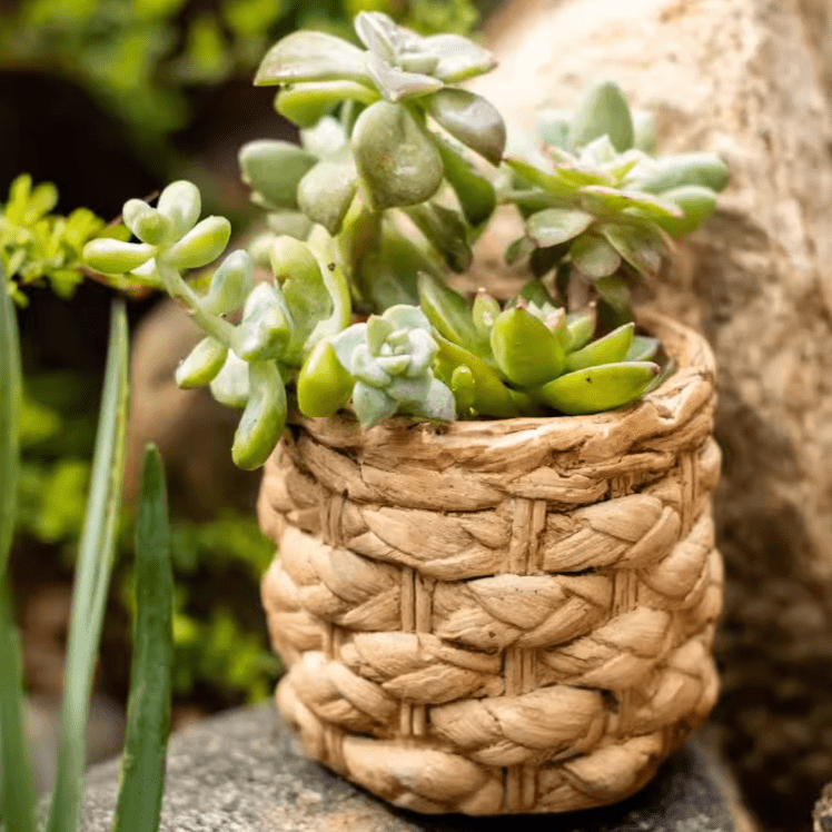 Grass-Weave-Look Cement Planter