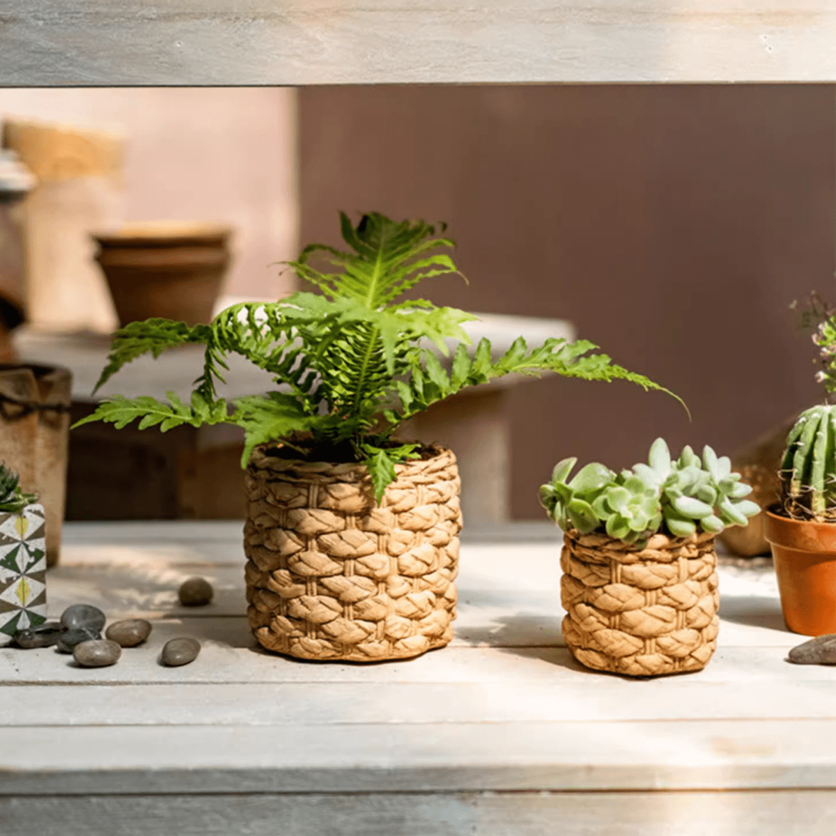 Grass-Weave-Look Cement Planter