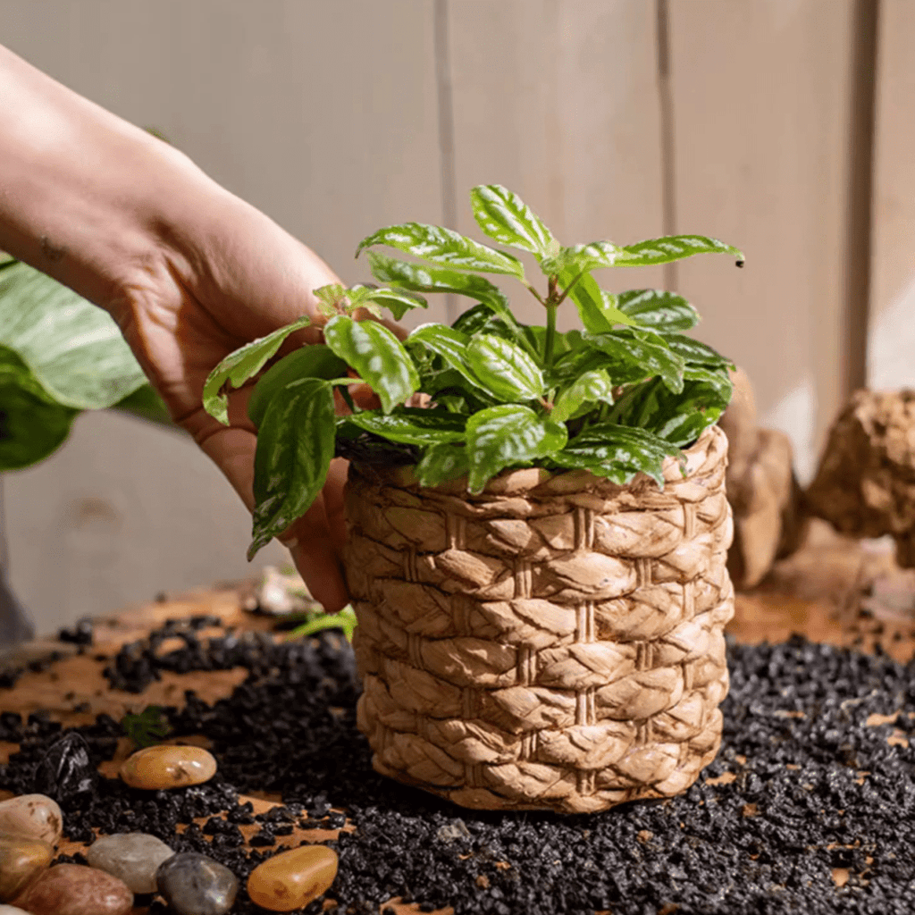 Grass-Weave-Look Cement Planter