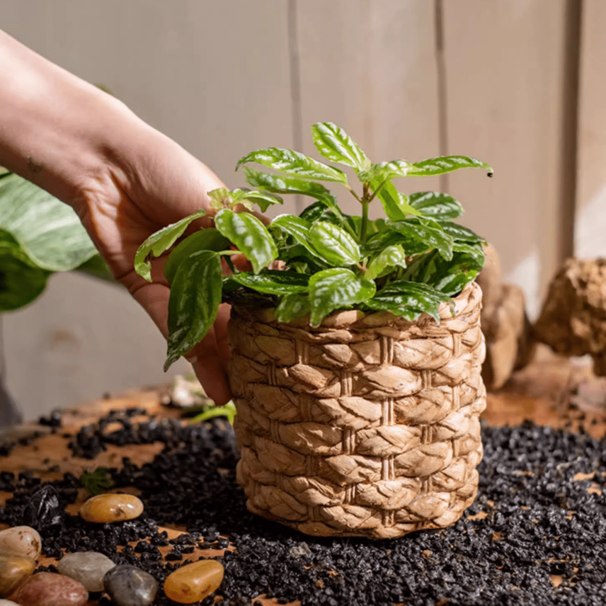 Grass-Weave-Look Cement Planter