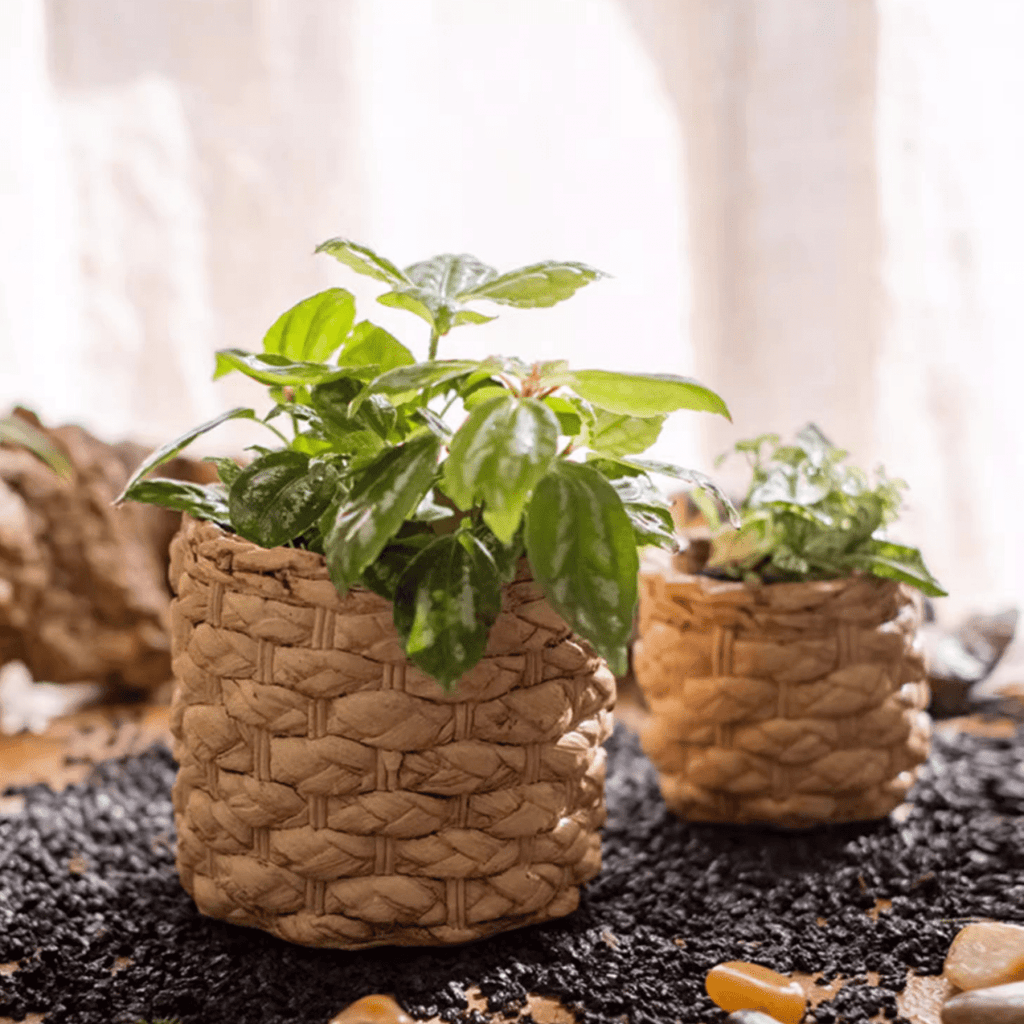 Grass-Weave-Look Cement Planter