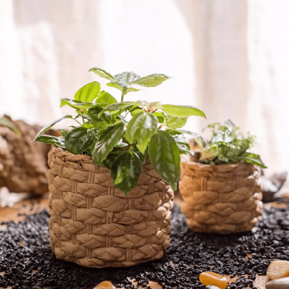 Grass-Weave-Look Cement Planter