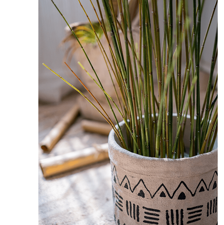 Artificial Rough Horsetail Plant Long Stem 54" Tall