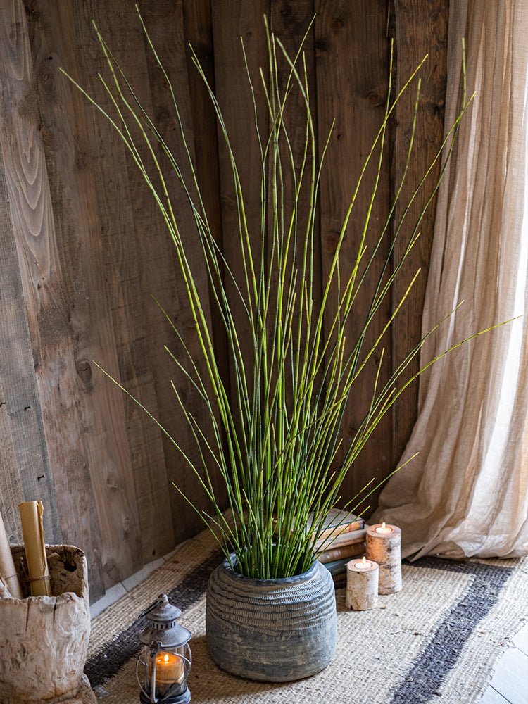 Artificial Rough Horsetail Plant Long Stem 54" Tall